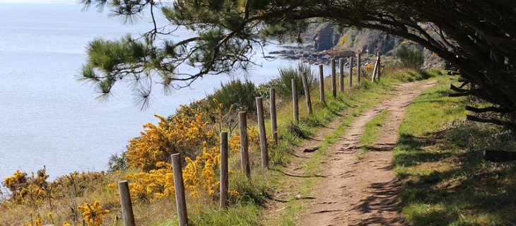 photographie d'un chemin côtier à Damgan